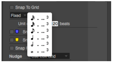 Snap Information window with Edit Grid Resolution dropdown menu showing triplet and dotted triplet values