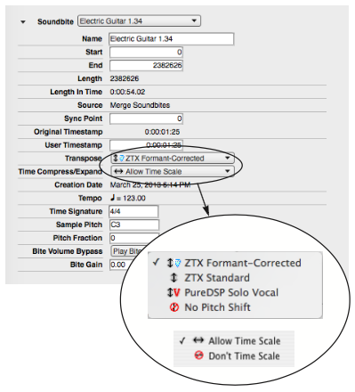 The Sound File Information window with the Transpose and Time Compress/Expand sections highlighted.