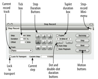 Step Record